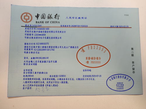 成功办理后的转账凭证